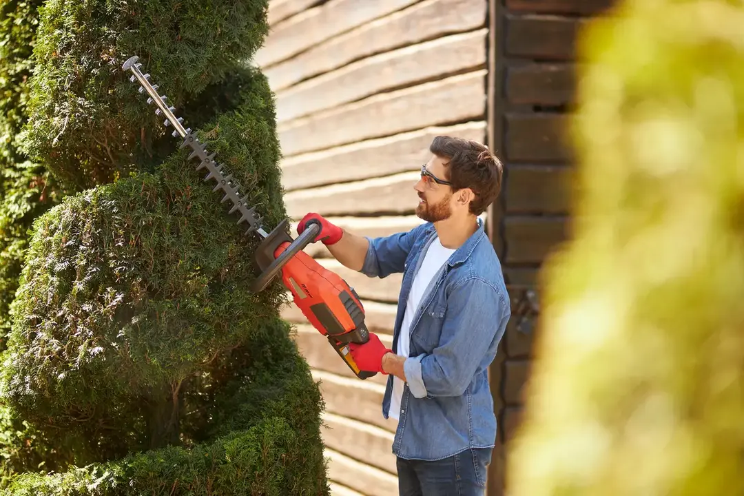 landscaper-trimming